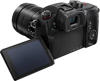 Amazon.com : Panasonic LUMIX GH5S Body 4K Digital Camera, 10.2