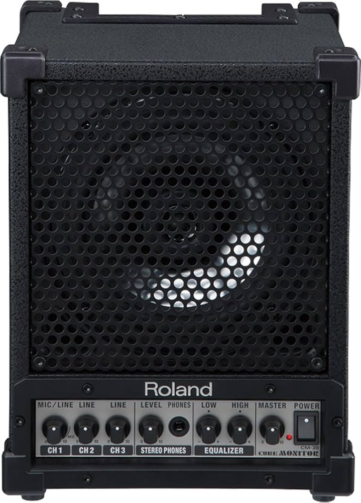 Amazon.com: Roland Cube Monitor/PA : Musical Instruments