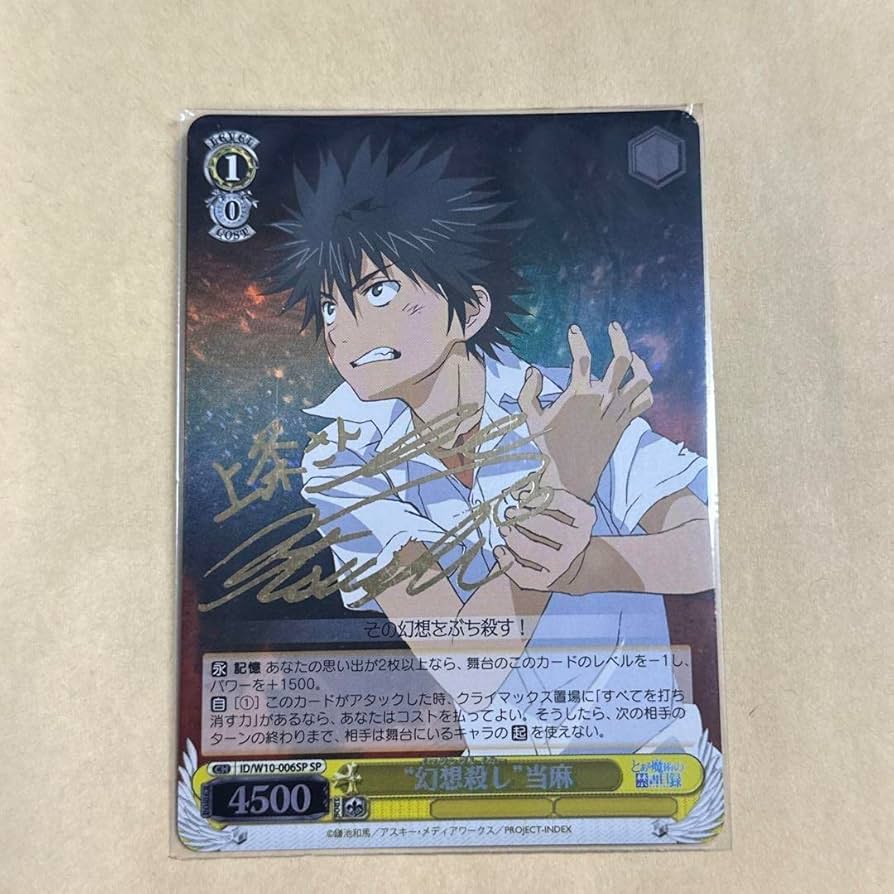 Amazon.co.jp: ヴァイスシュバルツ とある魔術の禁書目録 幻想殺し 上