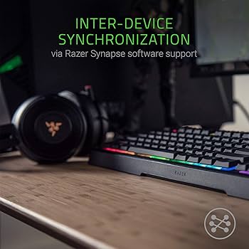 71EUjkEM3rL._AC_UF350,