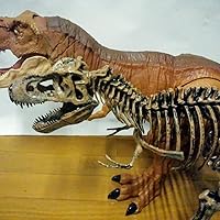 Amazon.co.jp: EDU-TOYS エデュトイ 恐竜工作 キット 51ピース