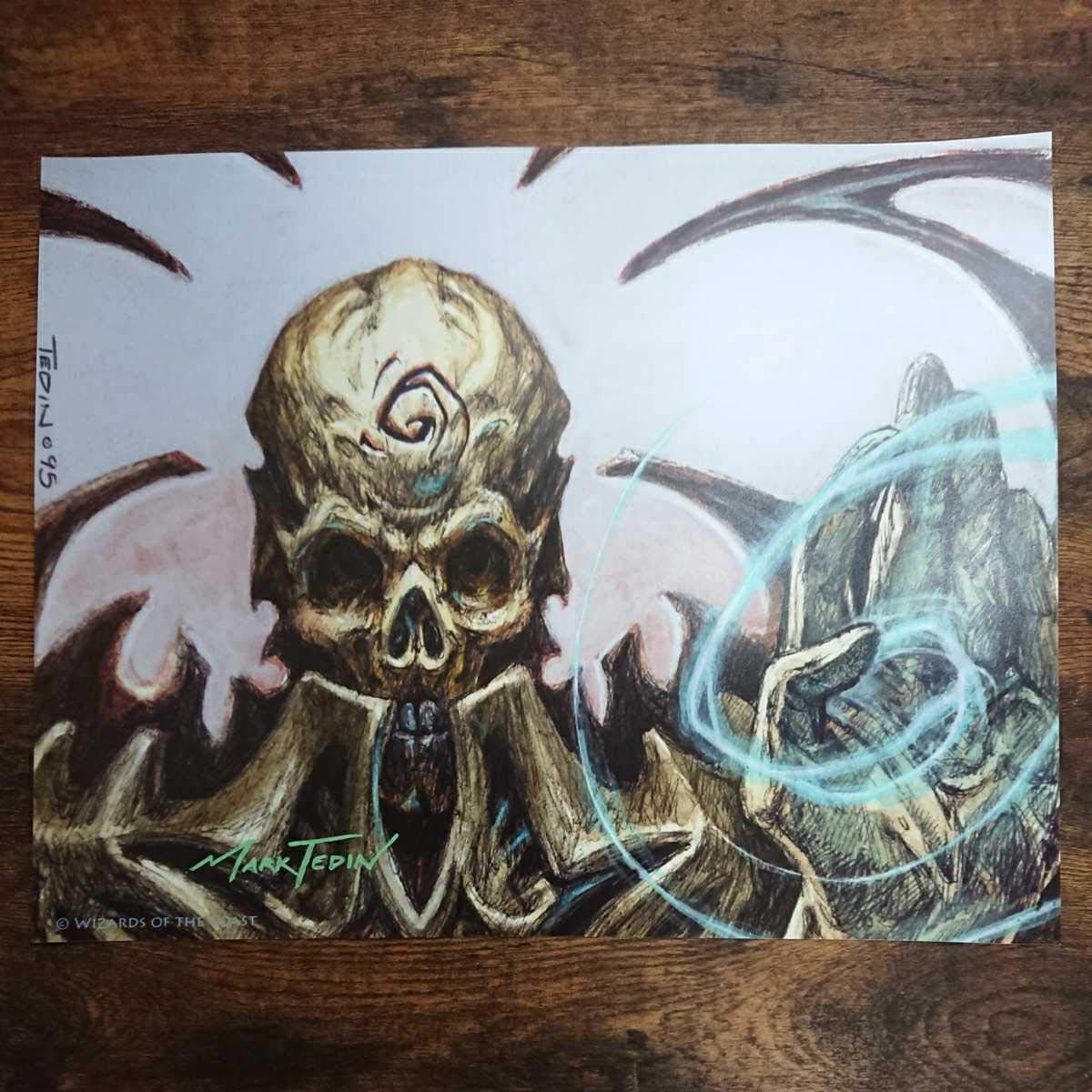 Amazon.co.jp: MTG《ネクロポーテンス/Necropotence》Mark Tedin