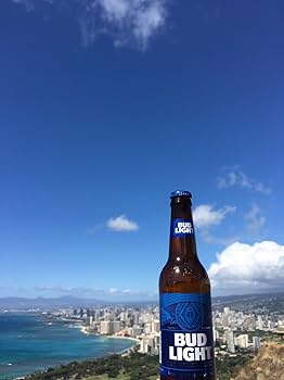 Amazon.co.jp: Bud Light(バドライト) 24本セット : 食品