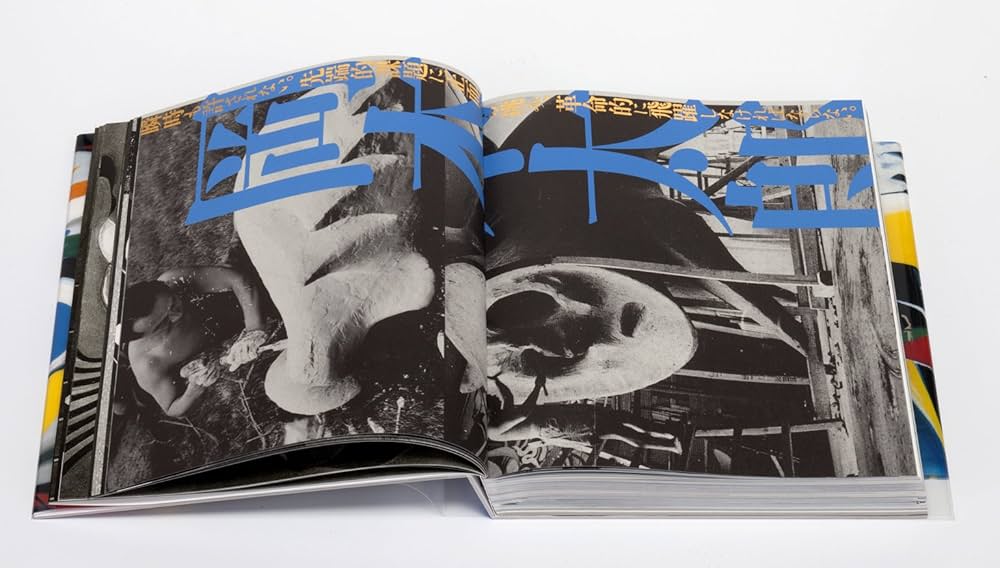 Amazon.co.jp: 岡本太郎 爆発大全 : 岡本 太郎, 椹木 野衣: 本