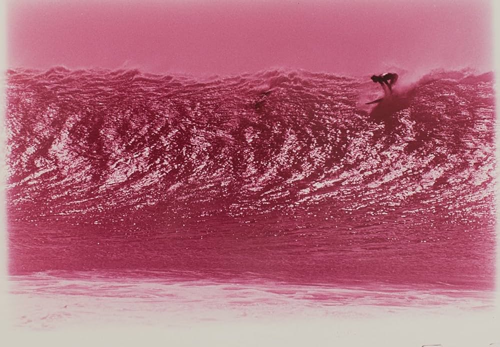 Amazon | Thomas Campbell: Slide Your Brains Out: Surfing in