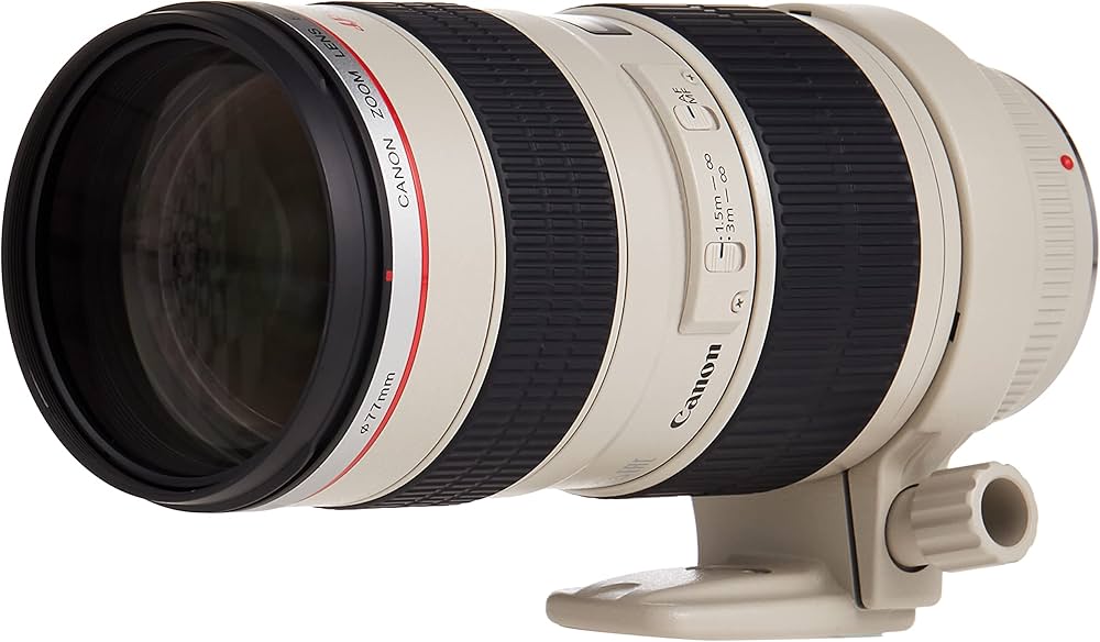 Canon EF 70-200mm f/2.8L USM Telephoto Zoom Lens for Canon SLR