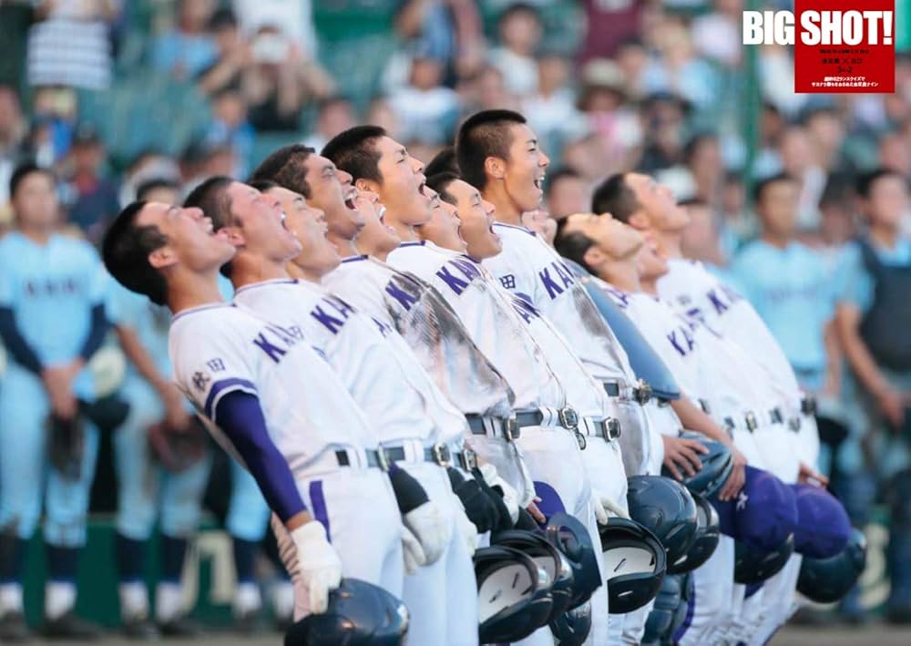 甲子園の星 輝ける高校球児 サマーヒーローズ 甲子園ヒーローズ 甲子園