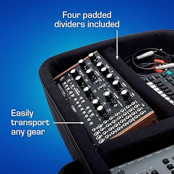Amazon | Analog Cases MOOG SUBSEQUENT 37 バックパックケース