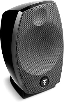 Amazon.com: Focal SIB Evo 5.1 Home Theater Speaker System