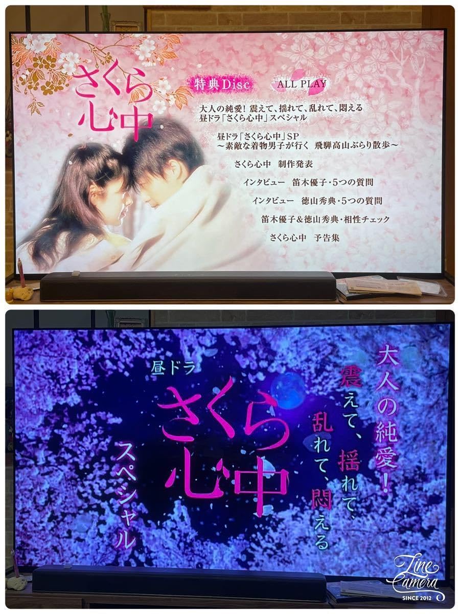 Amazon.co.jp: 廃盤 さくら心中 DVD-BOX 7枚組 ワンオーナー レター