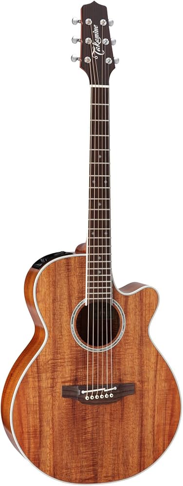 Amazon | TAKAMINE PTU131KC N エレクトリックアコースティックギター