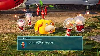 Amazon.co.jp: Pikmin 4(ピクミン 4) -Switch &氷ピクミンぬいぐるみ