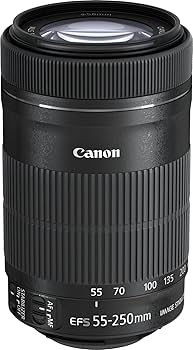 Amazon.com : Canon EF-S 55-250mm f/4-5.6 IS STM Telephoto Zoom
