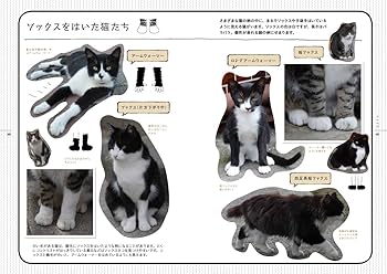 美しい柄ネコ図鑑 | 小林 希 |本 | 通販 | Amazon