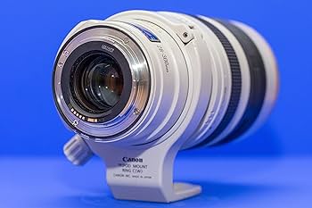 Amazon.co.jp: Canon 望遠ズームレンズ EF28-300mm F3.5-5.6L IS USM