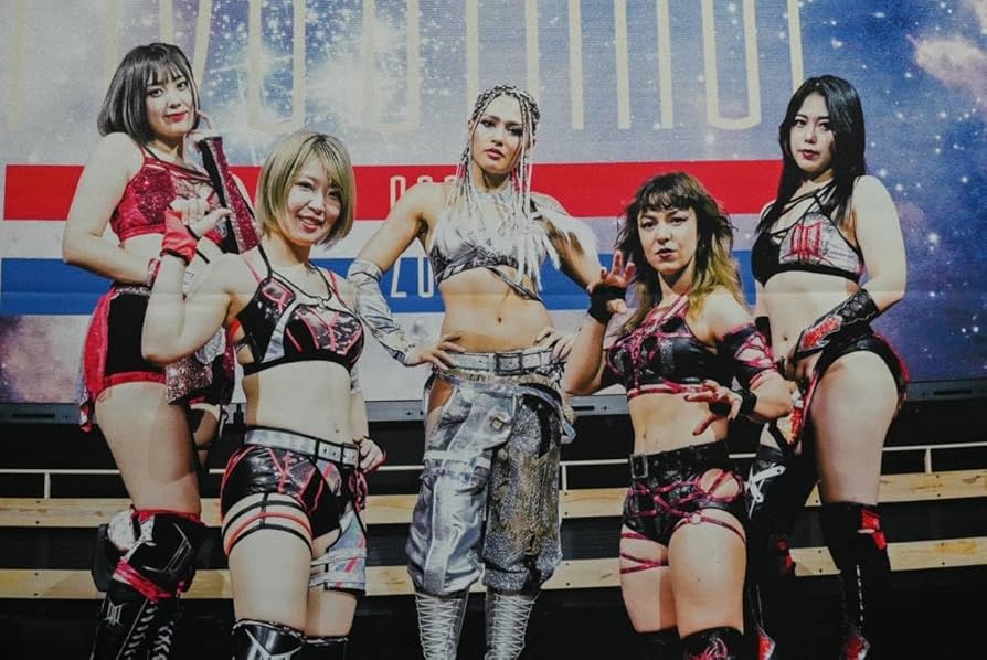 Amazon.co.jp: 同様 スターダム DDM ミニタペストリー ひめか ジュリア