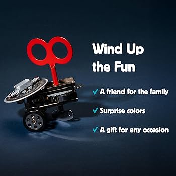 71Kie-TQ9OL._AC_UF350,