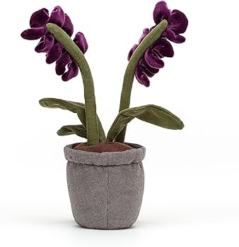 Jellycat Amuseable Purple Orchid Plush Soft Toy : Amazon.com.au