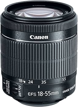 Amazon.co.jp: CANON ZOOM LENS EF-S 18-55mm 1:4-5.6 IS STM : CANON