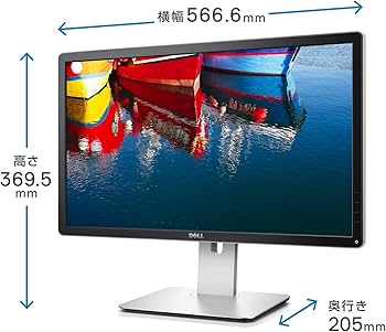Amazon.co.jp: Dell 4Kモニター 23.8インチ P2415Q(3年間無輝点交換