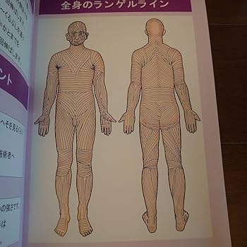 Amazon.co.jp: フルセット 藤田紫乃のふじた式整体科学刻まれた不調の