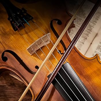 Amazon | Eastarバイオリン 4/4 単板 ソリッド 弓2本 初心者にも上級の