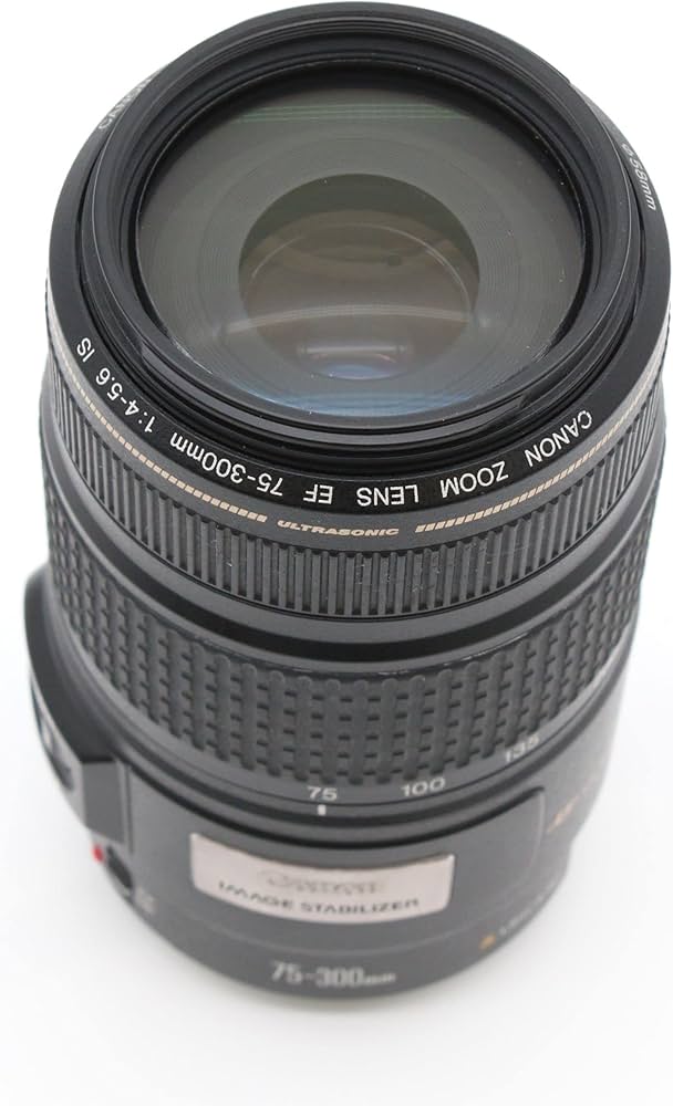 Canon EF 75-300mm f/4-5.6 IS USM: Amazon.co.uk: Electronics & Photo