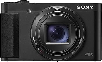 Amazon.com : Sony DSC-HX99 Compact Digital 18.2 MP Camera with 24