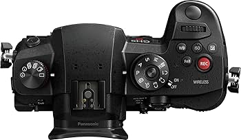 Amazon.com : Panasonic LUMIX GH5S Body 4K Digital Camera, 10.2
