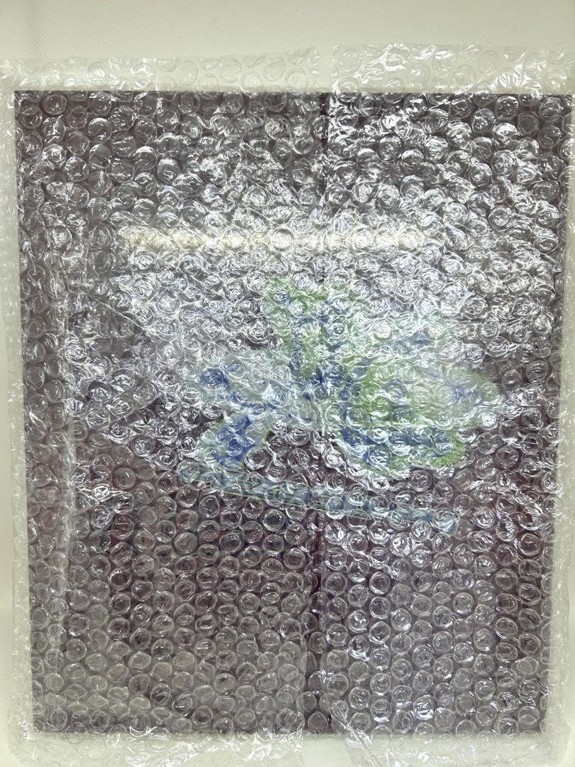 Amazon.co.jp: 菅田将暉 小松菜奈 写真集 FF0921 PIEZOGLYPH アート