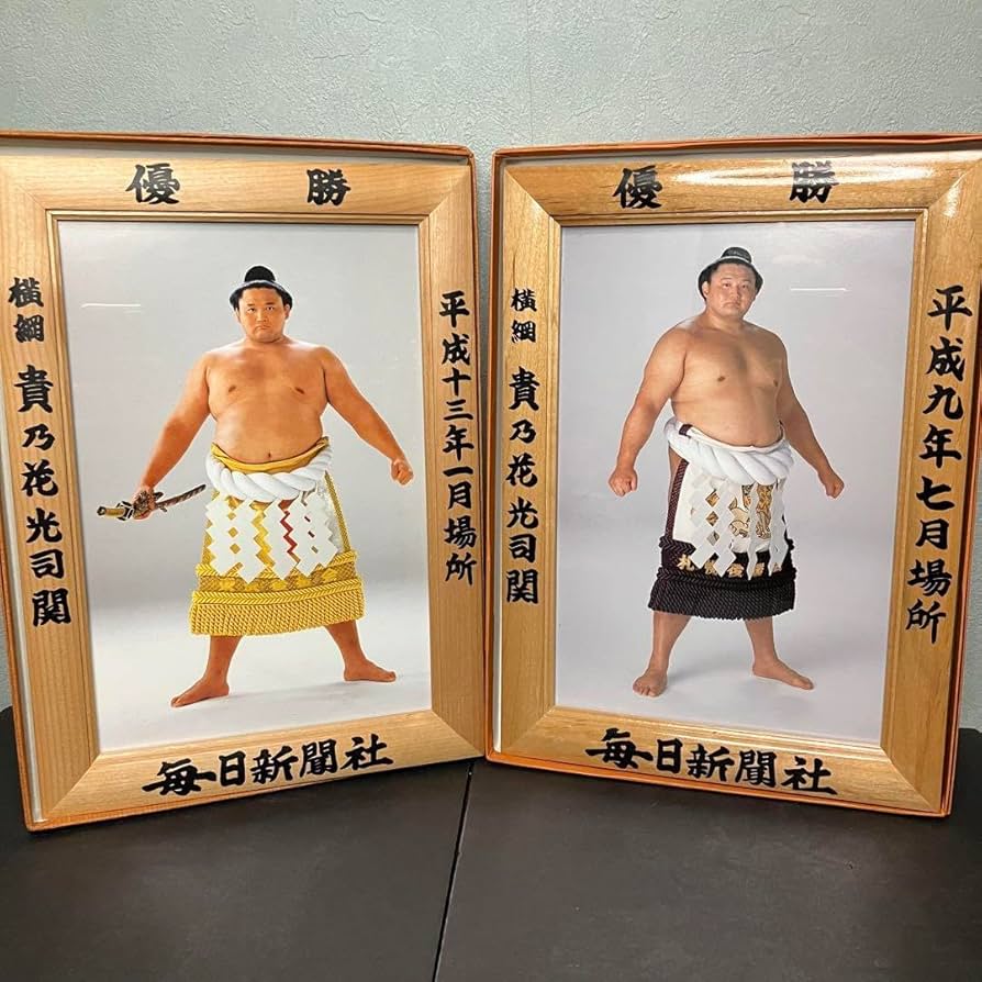 Amazon.co.jp: 大相撲優勝額 ミニチュア版 横綱 貴乃花 2個セット