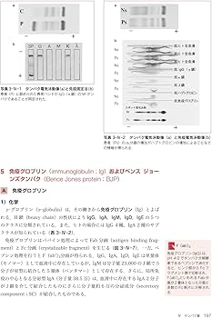 最新臨床検査学講座 臨床化学検査学 第2版 | 戸塚 実, 奥村 伸生, 浦山