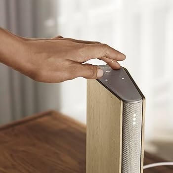 Amazon.com: Bang & Olufsen Beosound Emerge Wi-Fi Multiroom Speaker