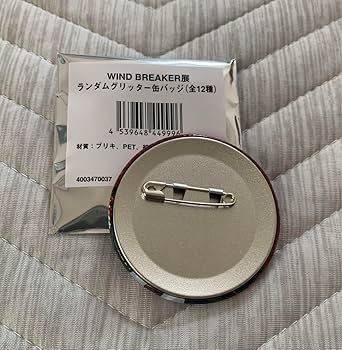 Amazon.co.jp: WIND BREAKER ウィンブレ展 ランダムグリッター缶バッジ