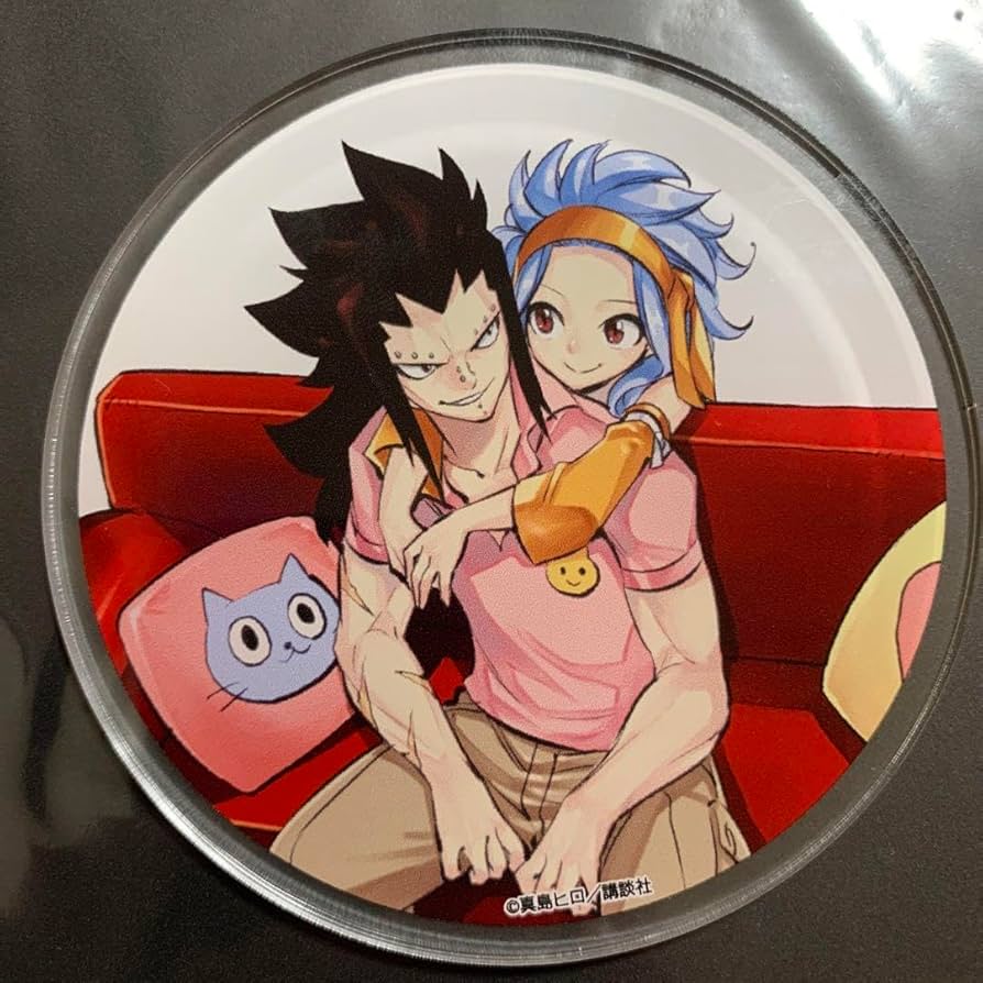 Amazon.co.jp: Fairy Tail Gazil Levy Acrylic Coaster : Home & Kitchen