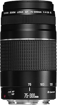 Amazon.com : Canon EF 75-300mm f/4-5.6 III Telephoto Zoom Lens for