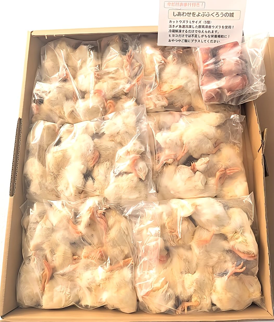 Amazon.co.jp: フクロウ・タカ・ハヤブサ等の餌 冷凍ヒヨコ60羽入り