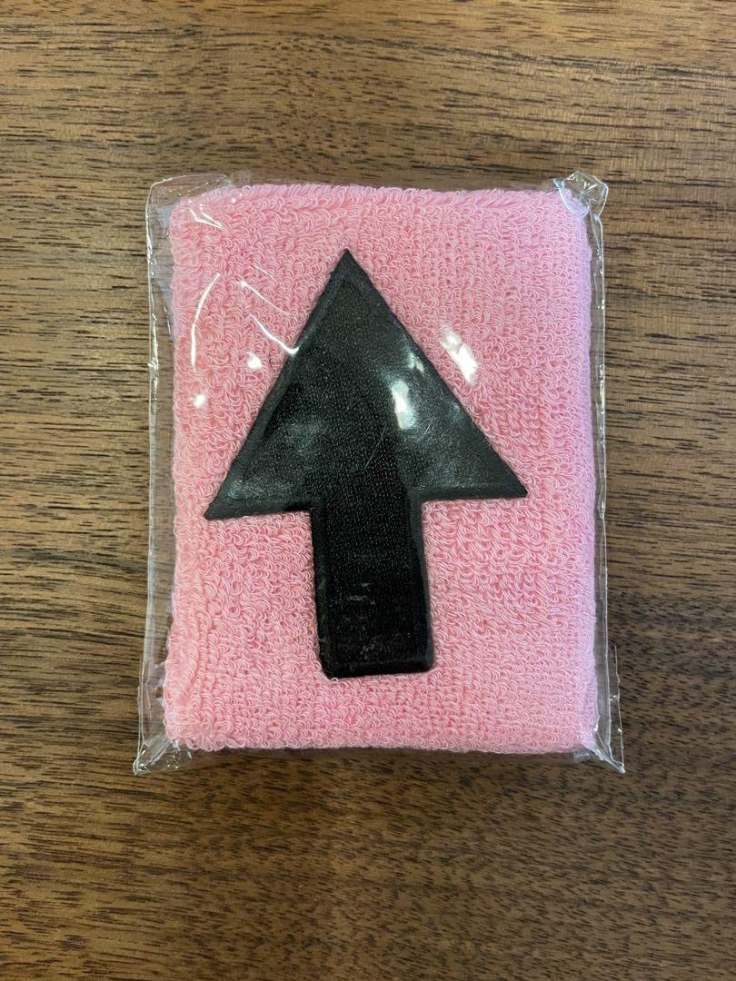 Amazon.co.jp: ハイロウズ リストバンド THE HIGH-LOWS 甲本ヒロト