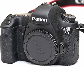 Amazon.com : Canon EOS 6D 20.2 MP DSLR Camera Body (Renewed