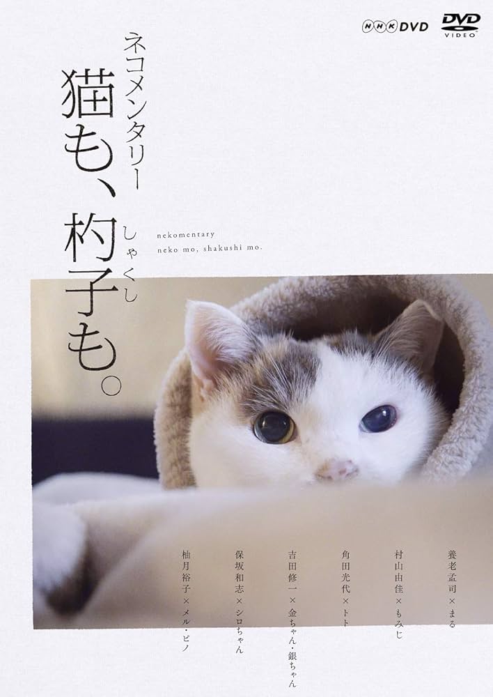 Amazon.co.jp: ネコメンタリー 猫も、杓子も。 [DVD] : 養老孟司, 松坂