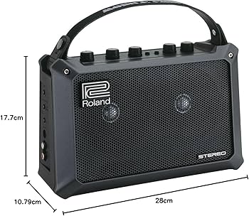 Amazon | Roland モバイル・キューブ MB-CUBE | ベースコンボアンプ