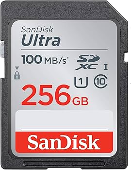 Amazon.com: SanDisk SD Ultra 256GB Memory Card for Camera