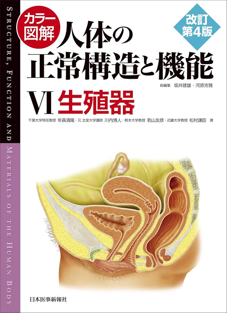 カラー図解 人体の正常構造と機能〈6〉生殖器【改訂第4版】 | 年森