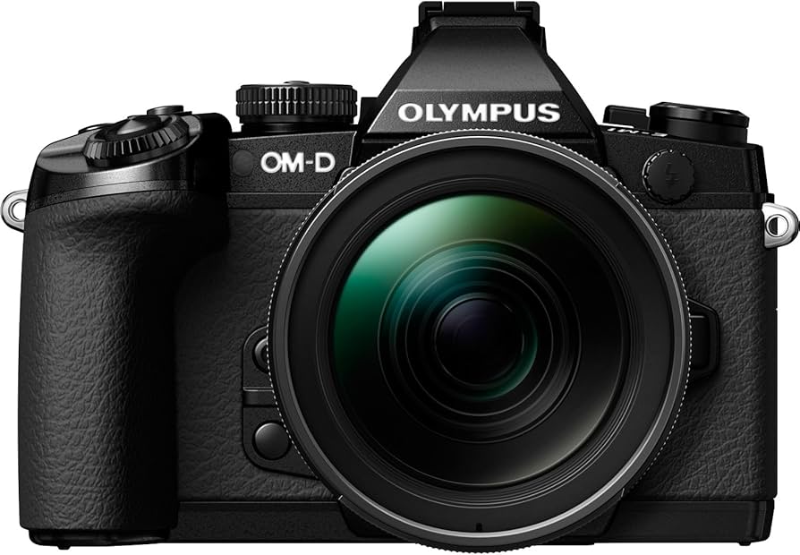 Amazon.com : OM SYSTEM Olympus OM-D E-M1 Mirrorless Camera with