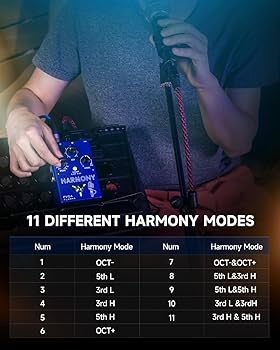 Amazon.com: FLAMMA FV04 Vocal Harmony Pedal Vocal Effects