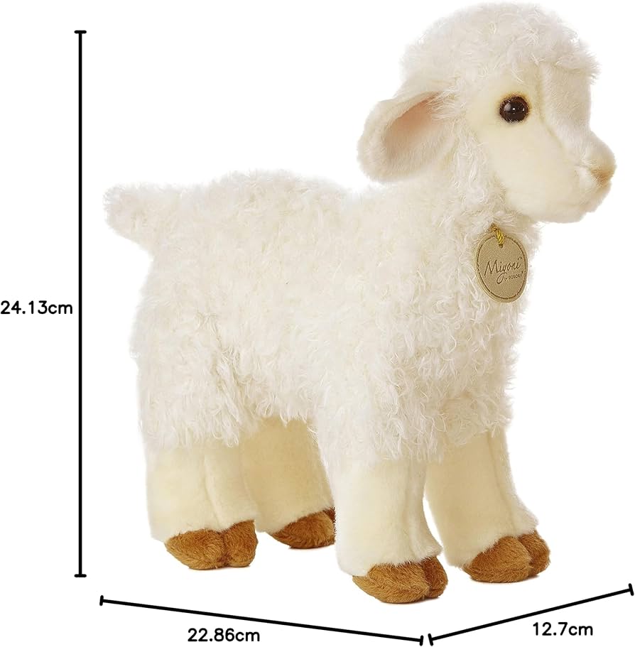 71lZFrDS0WL._AC_UF894,