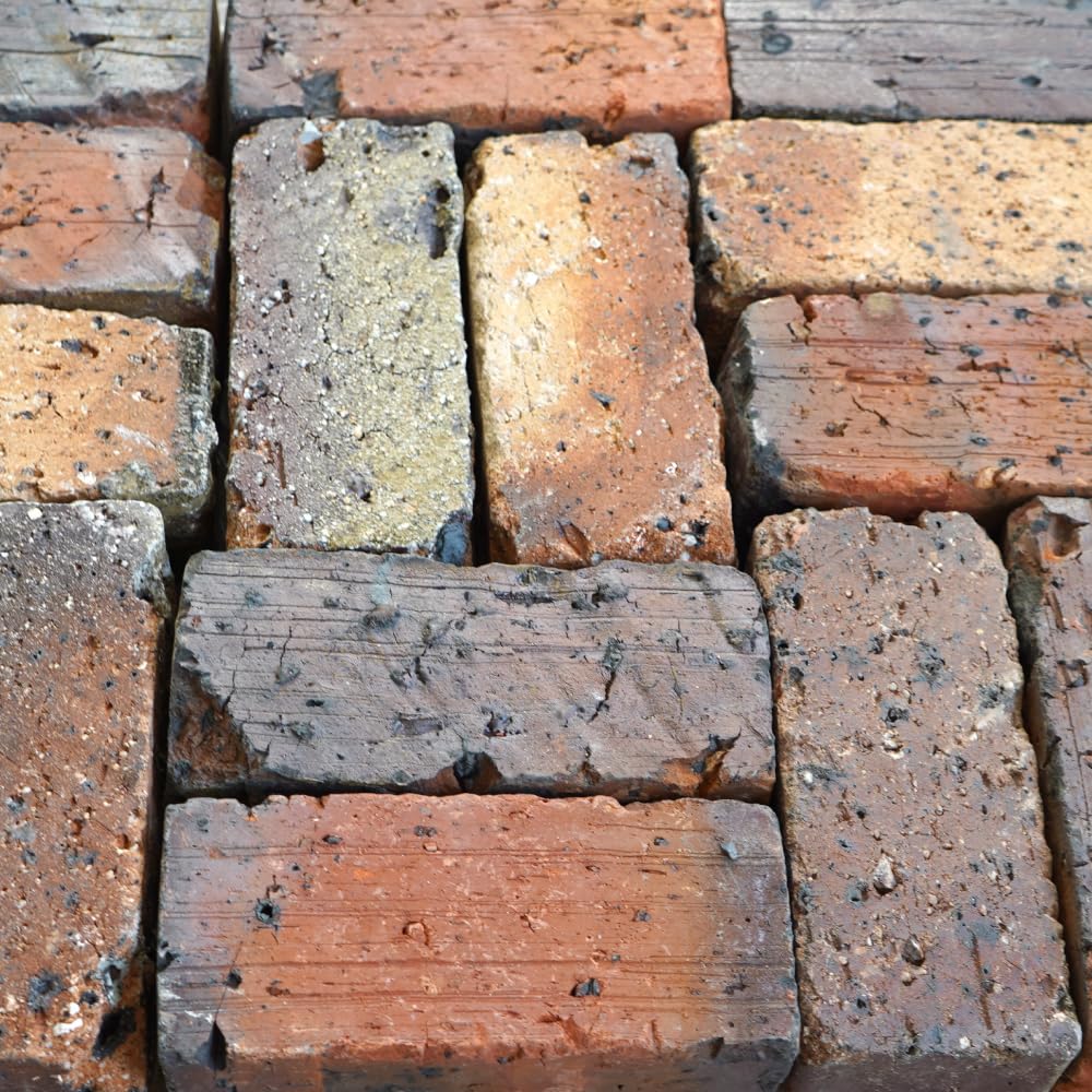 Amazon.co.jp: レンガ 煉瓦 約215×102×65mm マレーシア製 赤 茶