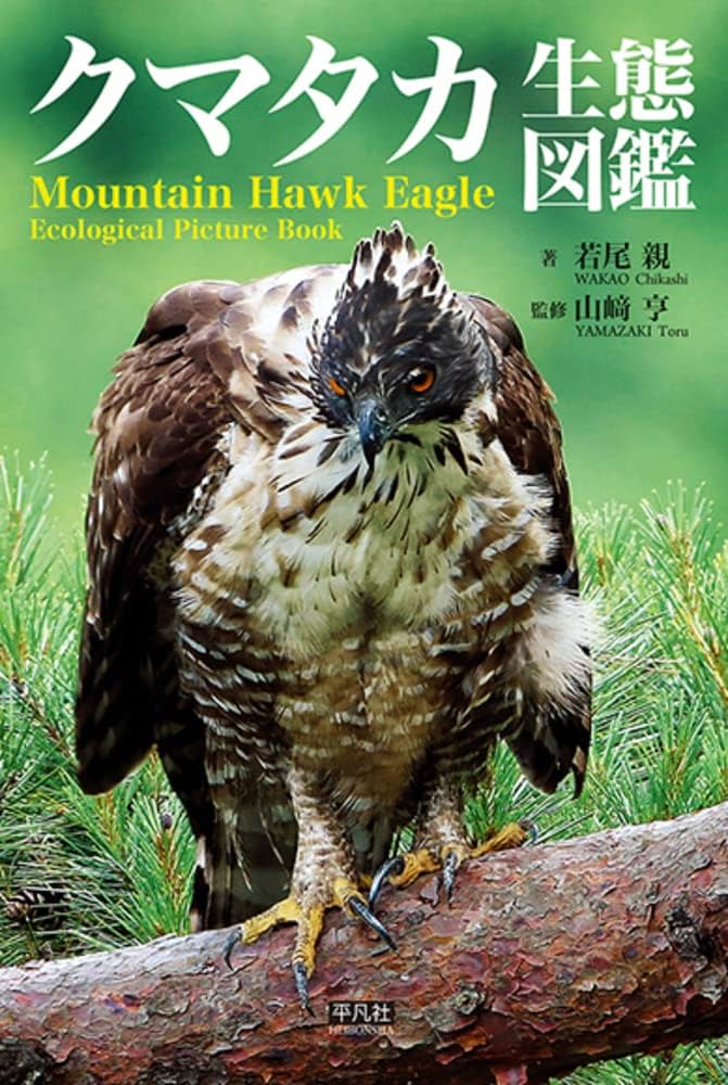 Amazon.co.jp: クマタカ生態図鑑 : 若尾 親, 山﨑 亨: 本