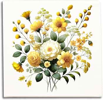 71m73xP+XgL._AC_UF350,