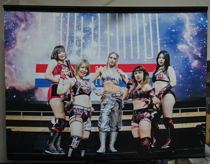 Amazon.co.jp: 同様 スターダム DDM ミニタペストリー ひめか ジュリア